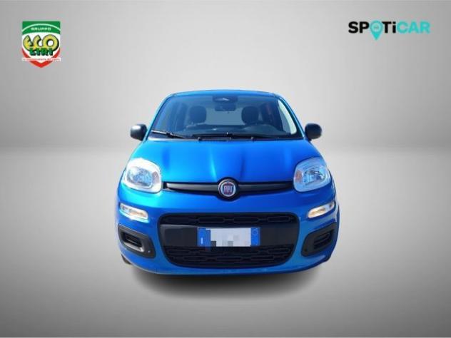 FIAT Panda 1.0 FireFly S&S Hybrid+GPL rif. 24175669 - Foto 2