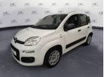 FIAT Panda Panda 1.2 Easy (PREZZO REALE)