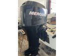 Mercury 40/60 EFI 4 cilindri iniezione 440 ore