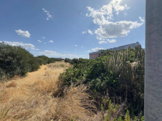 Immobile in asta di 13458 m² in vendita a Andria - Foto 7