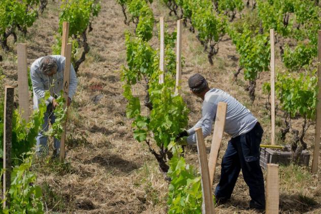 Terreno in vendita a Biancavilla - Foto 6