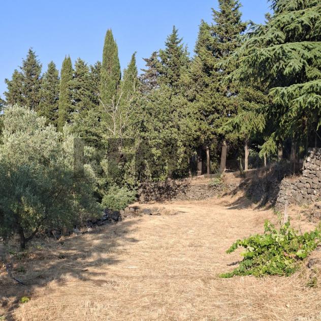 Terreno in vendita a Castiglione di Sicilia - Foto 3