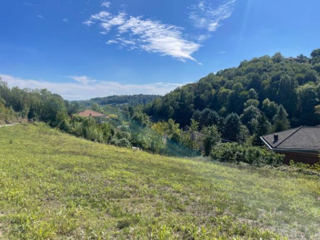 Terreno di 6000 m² in vendita a Pavarolo - Foto 5