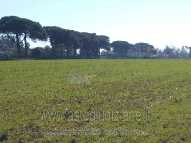 IMMOBILI-ALTRA CATEGORIA-Prati di Coppola, Latina - Foto 7