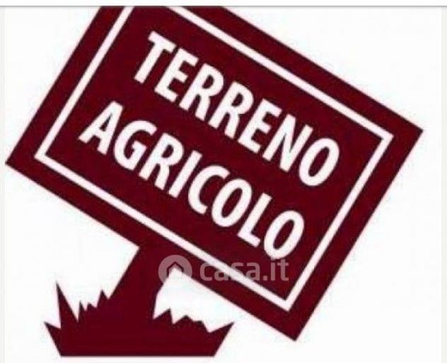 Magione vendesi terreno agricolo 16500 Mq - Foto 5