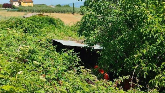 Immobile in asta di 5440 m² in vendita a Montefalco - Foto 2