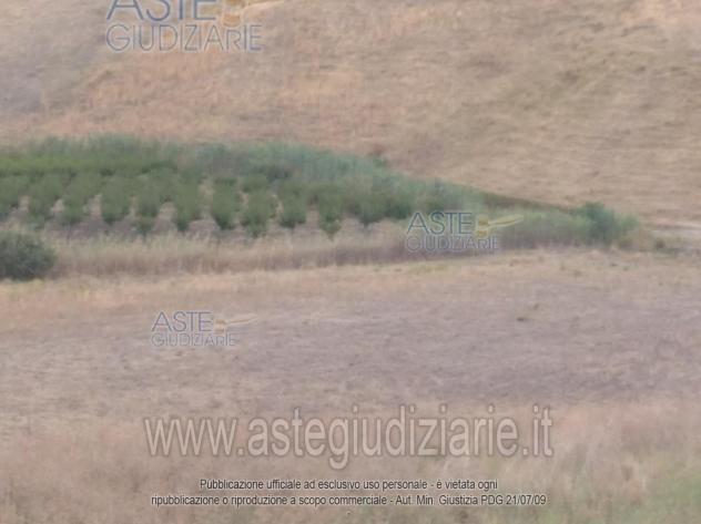 IMMOBILI-ALTRA CATEGORIA-C.da Quarta Casina - Foto 2