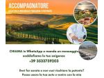 ACCOMPAGNATORE