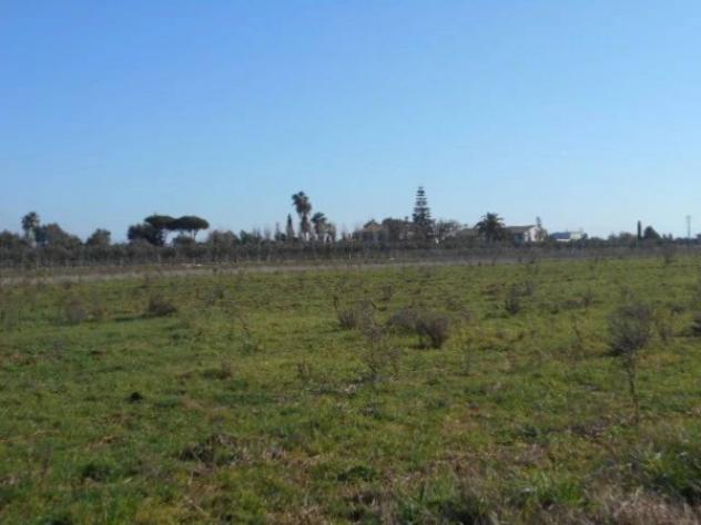 Immobile in asta di 82648 m² in vendita a Latina - Foto 2