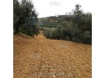 IMMOBILI-ALTRA CATEGORIA-Via Santa Scolastica