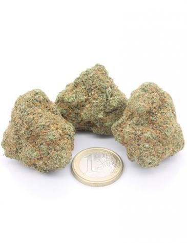 Gorilla Glue - Foto 3