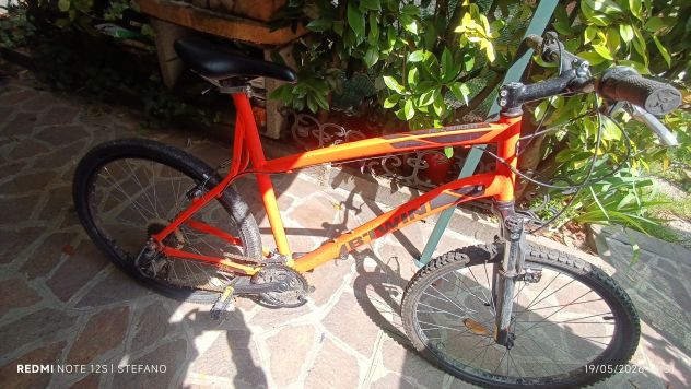 Bici - Foto 4