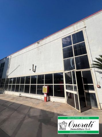 MQ 1.020 ROMA, ZONA ROMANINA, Rif.V-654.