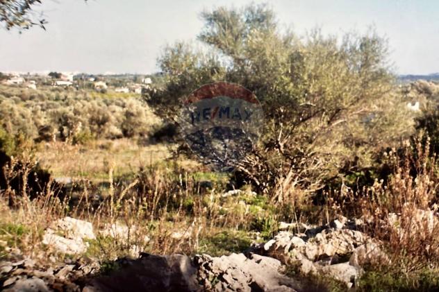 Terreno in vendita a Siracusa, Ermocrate - Foto 5