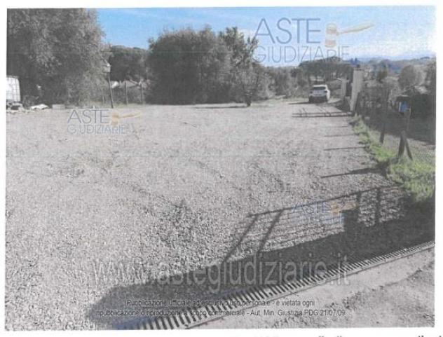 IMMOBILI-ALTRA CATEGORIA-loc. Comeana, via Mortelle 7 - Foto 4