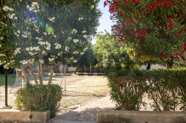 Appartamento in vendita a Siracusa, Scala Greca - Foto 4