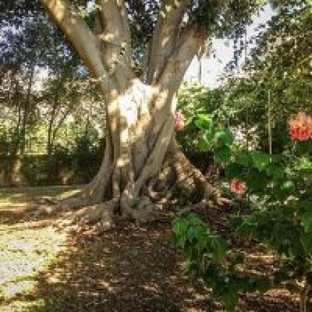 Villa Pampalone - Foto 3