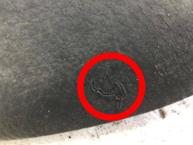 HONDA PCX 125 CUSCINO SELLA SADDLE 2009 2013 MLHJF28A5A - Foto 3