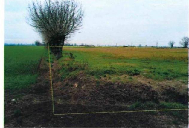 Immobile in asta di 13480 m² in vendita a Calendasco - Foto 2