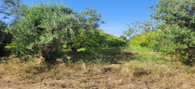 Immobile in asta di 584352 m² in vendita a Ispica - Foto 8