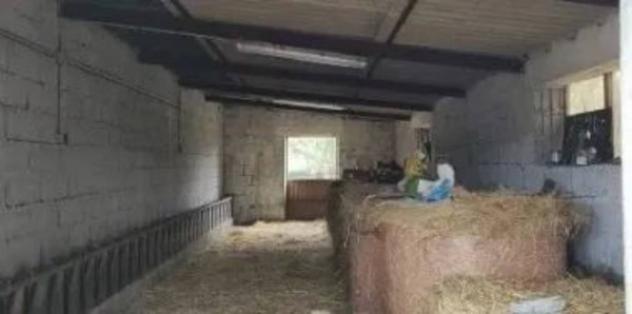 Immobile in asta di 145 m² in vendita a Pozzomaggiore - Foto 5