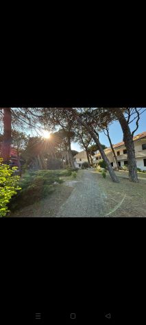 Vacanze a Rosolina Mare (Rovigo) - Foto 4