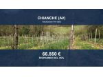 Immobile in asta di 22290 m² in vendita a Chianche