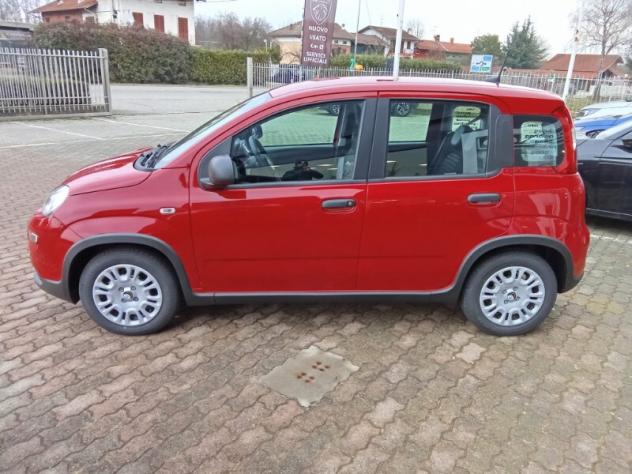 FIAT Panda 3ª serie Panda 1.0 FireFly S&S Hybrid Icon - Foto 6