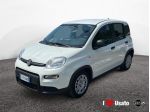 FIAT Pandina New PANDA Panda Serie 7 1.0 70cv HybridPanda