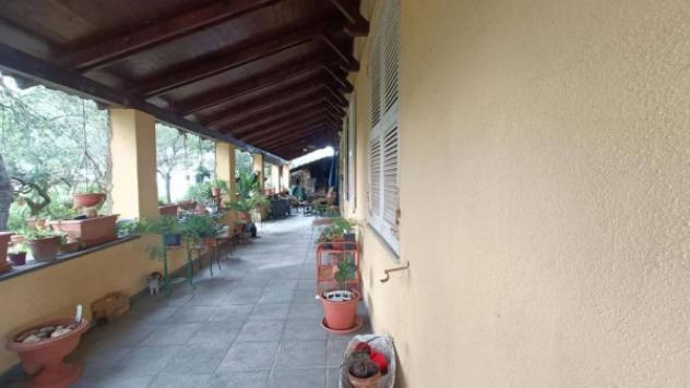 Immobile in asta di 28050 m² in vendita a Samugheo - Foto 4