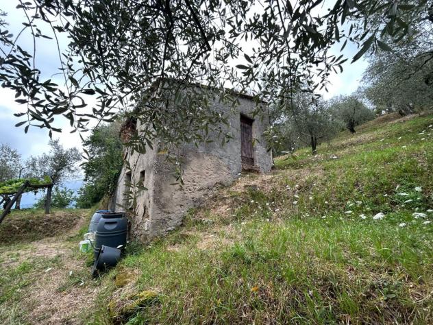 Agricolo in vendita a Arcola - Foto 2