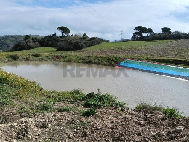 Terreno in vendita a Caltagirone - Foto 10
