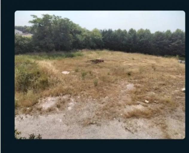 Immobile in asta di 4209 m² in vendita a Guastalla - Foto 6
