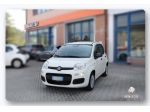 Fiat Panda 1.0 FireFly S&S Hybrid Pandina