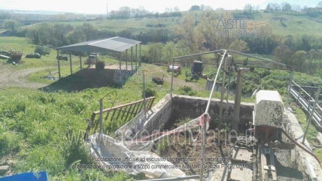 IMMOBILI-ALTRA CATEGORIA-Via Consolare Latina, 68 - Foto 6