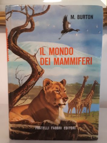 IL MONDO DEI MAMMIFERI, MAURICE BURTON, FRATELLI FABBRI EDITORI 1963. - Foto 2
