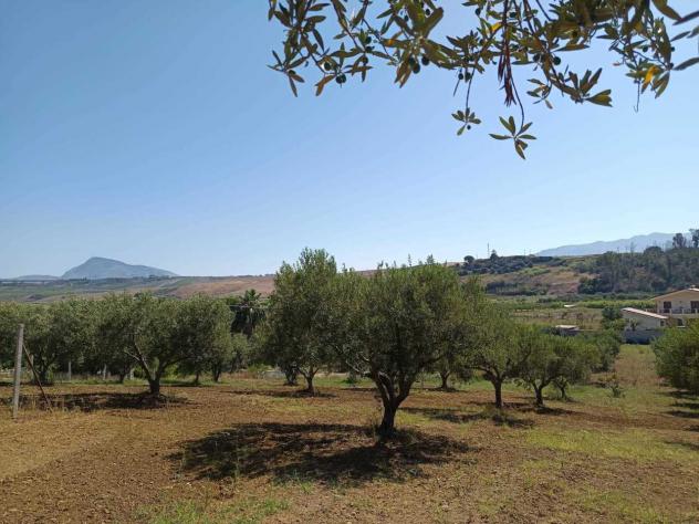 Seminativo in vendita a Balestrate - Foto 2