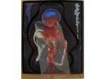 Sergio DANGELO - Il Sogno di Educanda (1999)