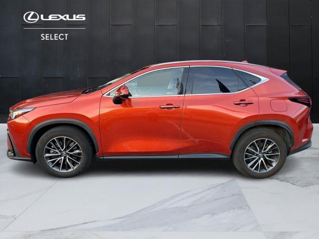 Lexus NX NX 450h+ 2.5 phev Premium 4wd 309cv e-cvt - Foto 2