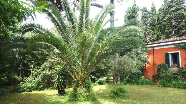 Villa in vendita a Avenza - Carrara 340 mq Rif: 1240156 - Foto 3