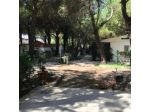 Parco delle Viole