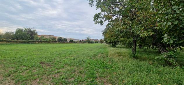 Edificabile in campolongo - Foto 7