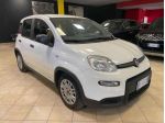 FIAT Panda 1.0 FireFly S&S Hybrid-PREZZO +IVA rif. 24190259