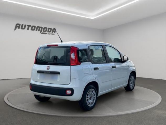 FIAT Panda 1.2 Easy 69CV rif. 23159514 - Foto 4