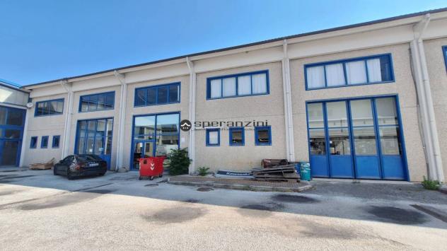 Fossombrone-eccezionale opportunità commerciale e artigianale,fronte strada flaminia.
proponiamo in vendita un ampio e versatile locale artigianale di