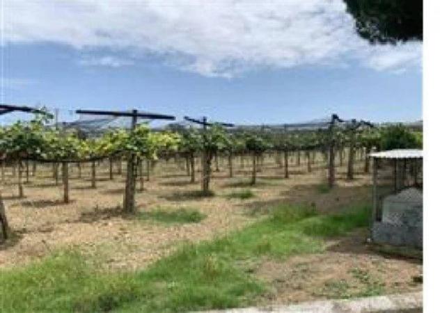 Immobile in asta di 600 m² in vendita a Porto Sant'Elpidio - Foto 10