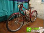 DUCATI SIATA Cucciolo - Telaio 3C rif. 23931450