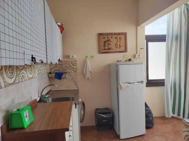 Trilocale in affitto a Ladispoli - Foto 2