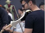Violinista classico a Tradate
