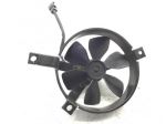 HONDA CN SPAZIO 250 ELETTROVENTOLA RADIATORE RAFFREDDAMENTO 1998 JH2MF02A